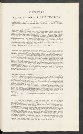 XXXVIII. Passiflora Laurifolia