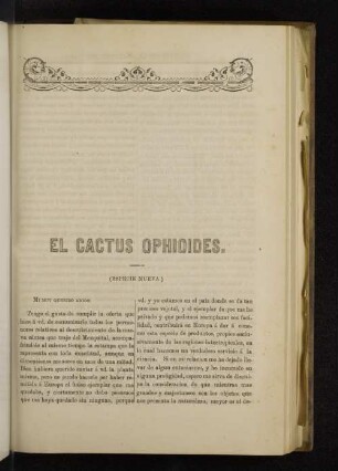 El Cactus Ophioides.