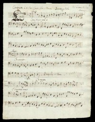 Bassetto per Viola