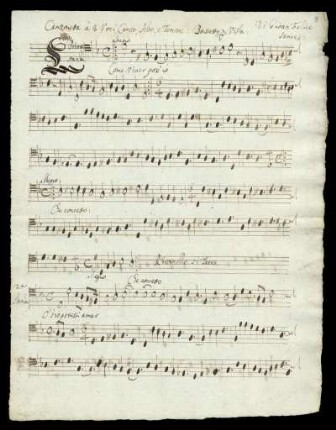 Bassetto per Viola