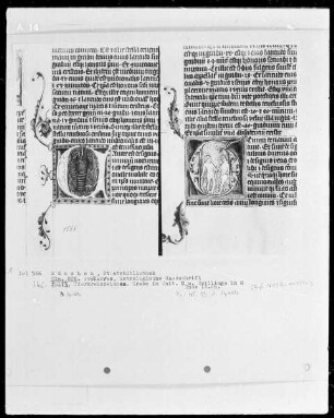 Avenares, Astrologische Handschrift — Buchseite mit zwei historisierte Initialen, Folio 13recto