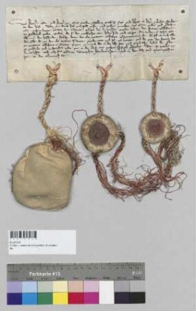 Die Herzöge Heinrich, Otto und Heinrich von Bayern übergeben dem Kloster Seligenthal ihren Anger bei Landshut als Eigengut. S1: Heinrich, Herzog von Bayern, S2: Otto, Herzog von Bayern, S3: Heinrich, Herzog von Bayern