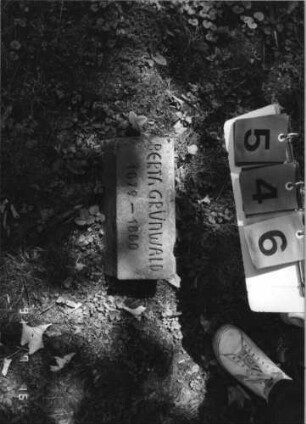 Grabstein 546 [Hahn S. 238 Grab-Nr. 411]