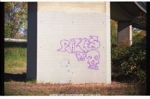 RALLES