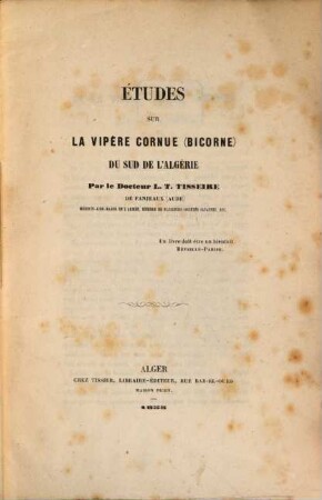 Études sur la visière cornue (bicorne) du Sud de l'Algérie
