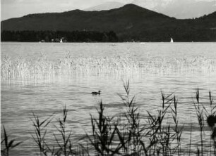 Blick auf den Wörthersee