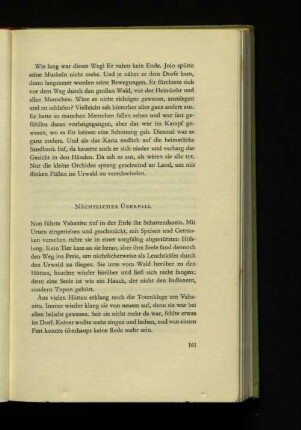 Nächtlicher Überfall