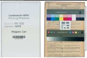 Entnazifizierung Carl Weigand , geb. 04.01.1907 (Arzt)