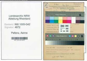 Entnazifizierung Aenne Pellenz , geb. 24.09.1900 ()