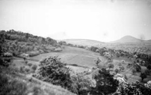 Landschaftsblick : Blick auf eine hügelige Landschaft mit Feldern und einzelnen Bäumen im Vordergrund.