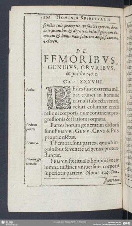 De Femoribus, Genibus, Cruribus, & pedibus, &c. Cap. XXXVIII.