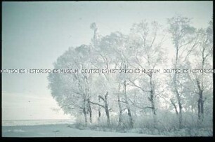 Verschneite Winterlandschaft