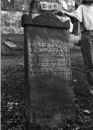 Grabstein 286 (Index: 99791409) Maße HxBxT: 135x65x15 cm Symbolik: Mohn: Grabstein 286 (Nachholaufnahme)