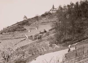 Radebeul-Oberlößnitz, Blick über Gärtnereien und Weinberg zum Spitzhaus