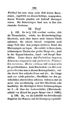 11. Torf