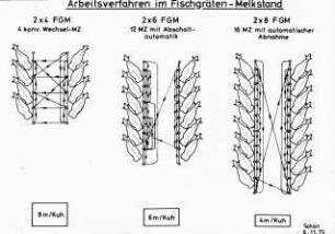 Arbeitsverfahren im Fischgrätenmelkstand