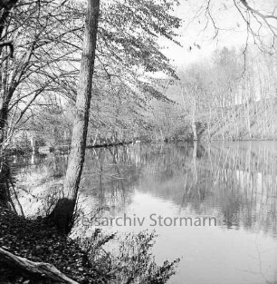 Kupfermühle: Kupfermühlenteich: vorn links Bäume: hinten Wald