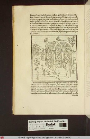 [Eine Nymphe mit Fackel läuft aus der Ferne auf Poliphilo zu]