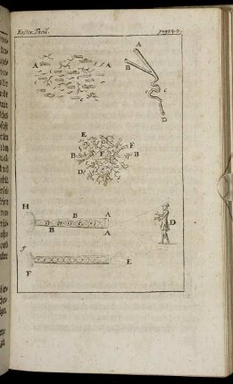 [Fig.XIV. zu] pag. 140.