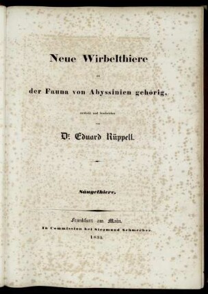 Säugethiere