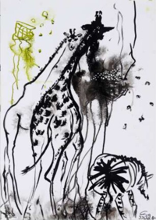 Giraffen-Zebras, fressend unter 7 Sternen