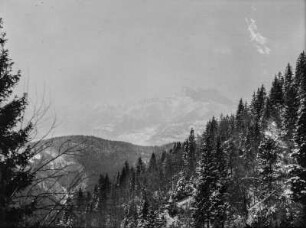 Bewaldeter Hang : Blick auf einen verschneiten, bewaldeten Berghang mit hohen Gebirge im Hintergrund