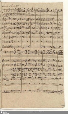 Aria: Meines Jesu Wunderwerke sollen mein Vergnügen sein