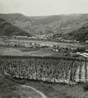 Mosel, Ansicht von Traben-Trarbach vom Weg zum Mont Royal