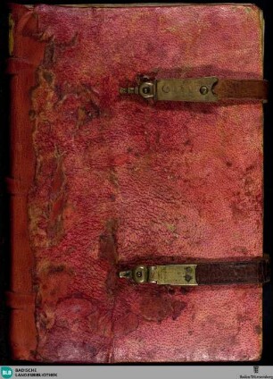 Sammelhandschrift - Cod. St. Peter perg. 117