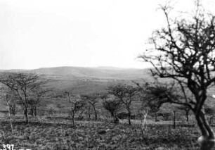 Landschaft : Landschaft im Umfolozi-Park