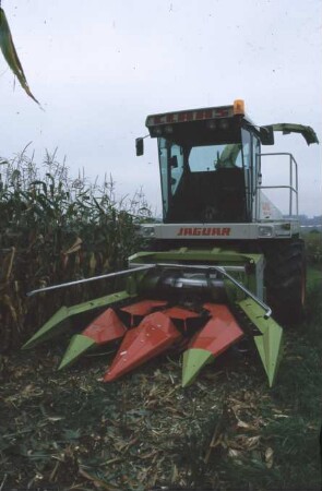 Fotografie: Futtererntetechnik, Maissilage, Feldhäcksler selbstfahrend, Maisgebiss