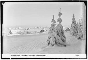 Bei Zinnwald. Georgenfeld