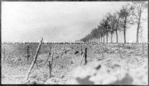 Leichen englischer Soldaten an der Straße von Arras nach Lille
