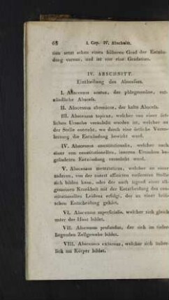 IV. Abschnitt. Eintheilung des Abscesses.