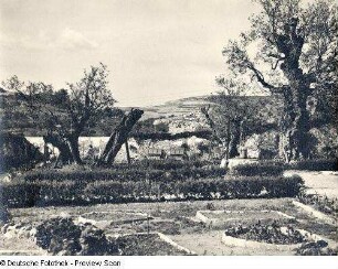 Garten Gethsemane