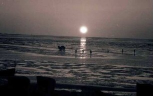 Döse: Sonnenuntergang über dem Watt