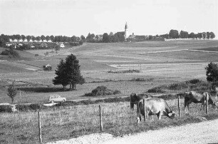 Aufkirchen: Ort, Vordergrund weidende Kühe