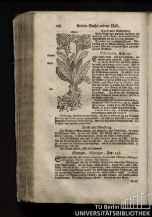Cap. 147. Polemonia.
