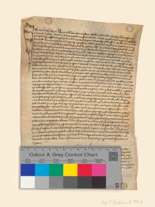 Johannes Krywetz, notarius publicus und Kleriker der Diözese Kammin, beurkundet einen Vergleich zwischen der Stadt Prenzlau und einem Einwohner von Neuwarp wegen Fischdiebstahls durch Bürger der Stadt.