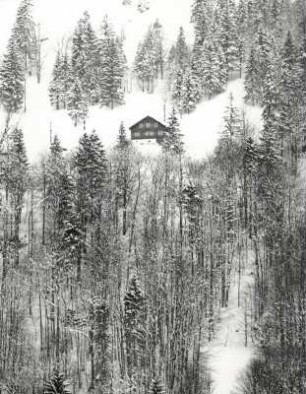 Winterlandschaft