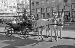 Wien: Fiaker vor seiner Kutsche, mit Kutsche vor der Oper