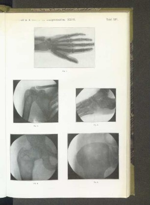 Tafel XIV.