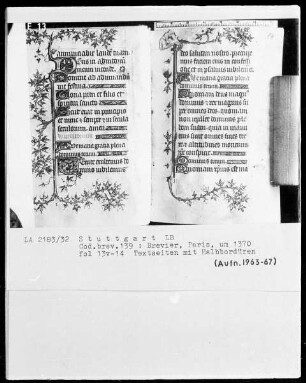 Lateinisches Stundenbuch — Rankenleiste als Dreiviertelbordüre, Folio 14recto
