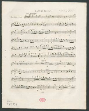Flauto piccolo