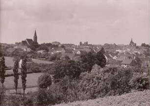 Dahlen, Blick auf die Stadt von Nordosten mit Stadtkirche vom Hang des Burgberges