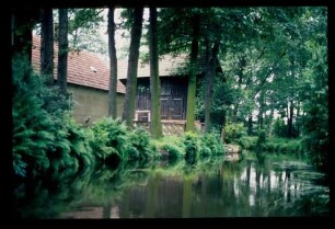 Spreewald 26.7.84.