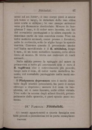 10. Famiglia: Nitidulidi.