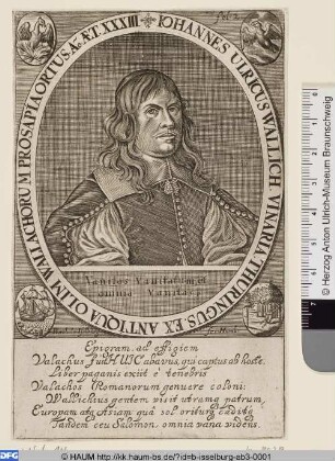 Johann Ulrich Wallich