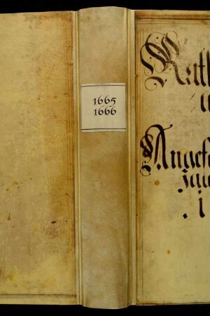 Ratsprotokolle, 1665 Aug. 1. - 1666 Juli 26.