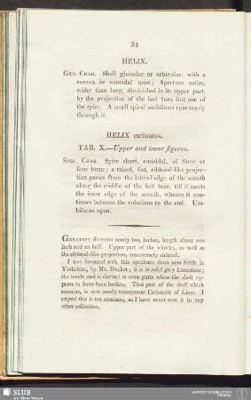 Helix carinatus. Tab. X. - Upper and lower figures